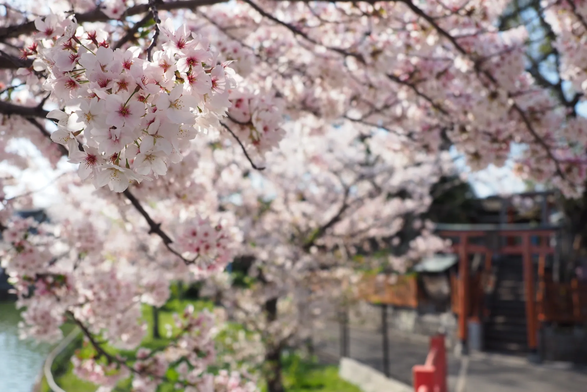 地域の健康を支える仲間を募集しています！